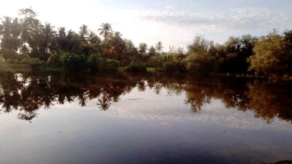 Areal Persawahan di Dusun Lamkuta Dilanda Banjir