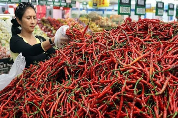 Di Tengah Wabah Covid-19 Harga Cabai Merah Meningkat di Aceh Barat.1
