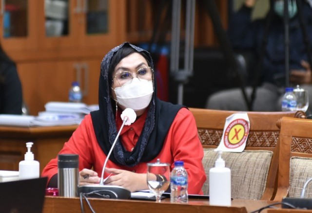Anggota Komisi IX DPR RI Elva Hartati