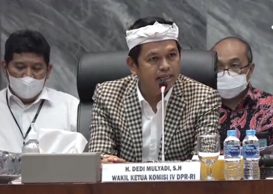 Wakil Ketua Komisi IV DPR RI Fraksi Partai Golkar Dedi Mulyadi