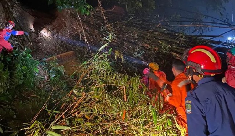 Potret petugas gabungan saat melakukan pembersihan pohon tumbang yang menyebabkan longsor di perumahan Betawi Permai RT 004, RW 014, Kelurahan Jatirangga, Kecamatan Jatisampurna, Kota Bekasi, Kamis (13/10/2022). (Dok.BPBD Kota Bekasi)