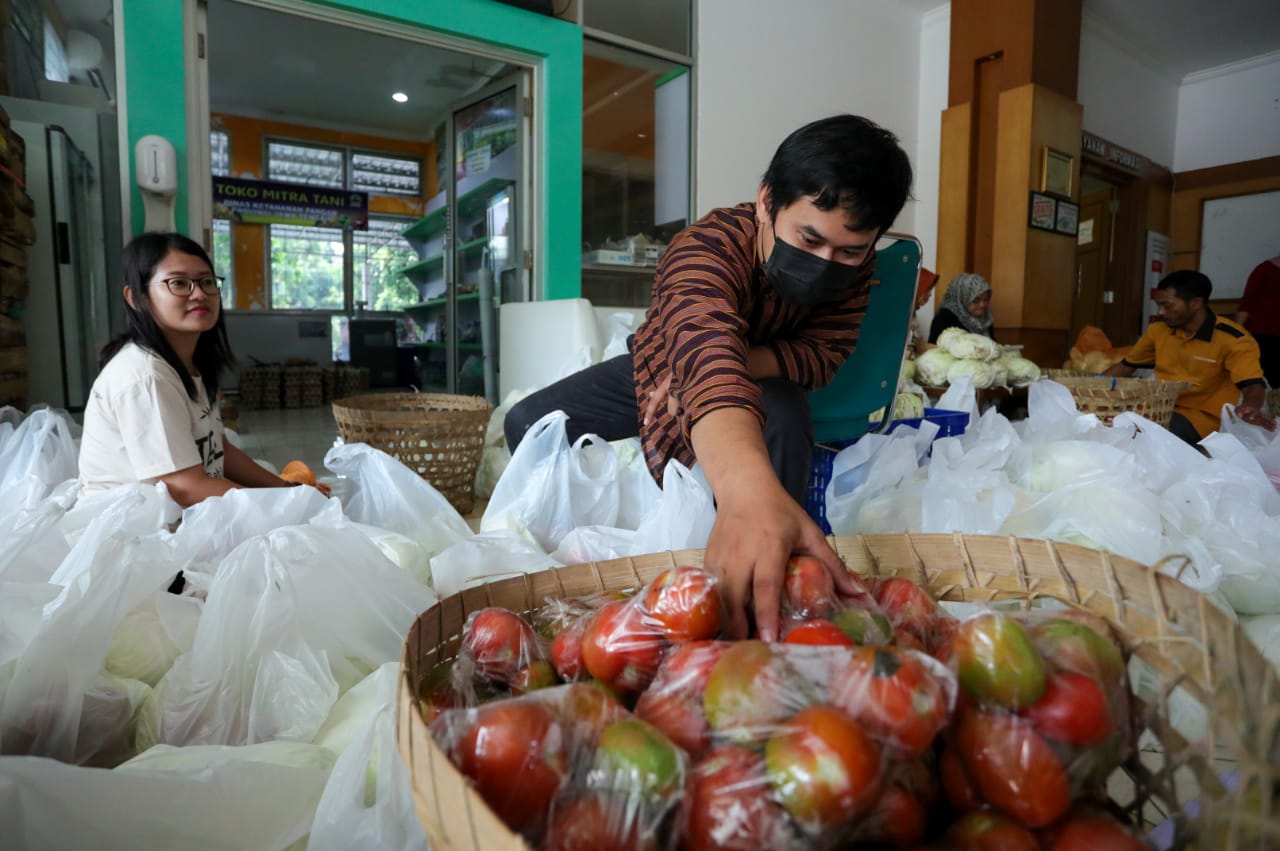 ASN Jateng bantu petani borong hasil panennya