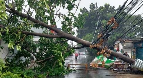 Potret pohon tumbang yang menutup akses jalan raya Ratna, Jatikramat, Jatiasih, Kota Bekasi, Kamis (9/2/2023).