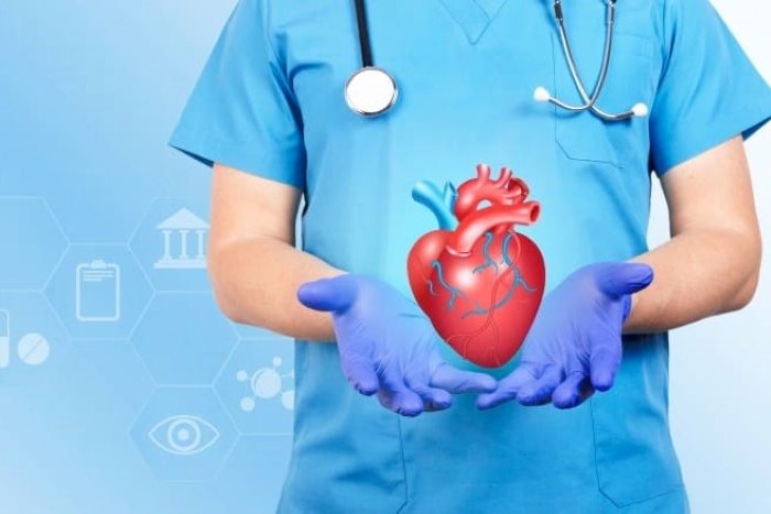 Penyebab Gangguan Fungsi Jantung dan Bagaimana Cara Menguatkan Fungsi Jantung