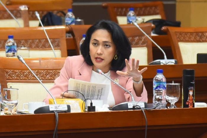 DPR RI Mendesak Penanganan Konflik Israel-Palestina: Evakuasi WNI dan Serukan Perdamaian