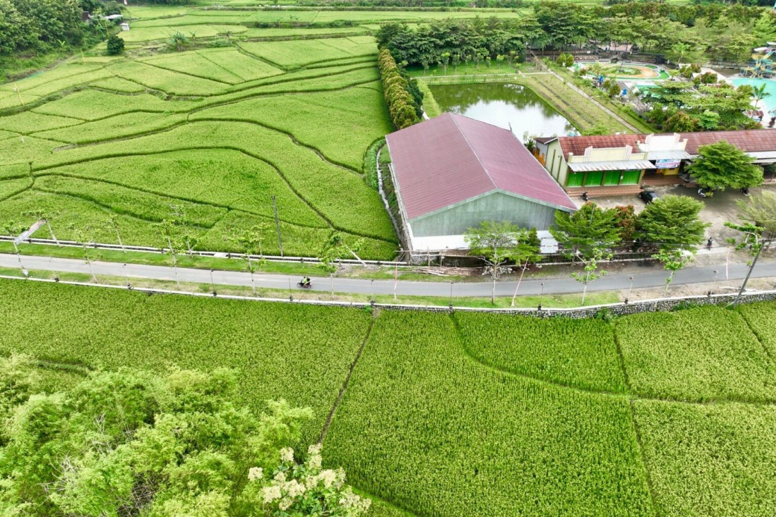 Desa Mandiri di Jawa Tengah berdasarkan Indeks Desa 2025 melonjak, tembus 2.208.