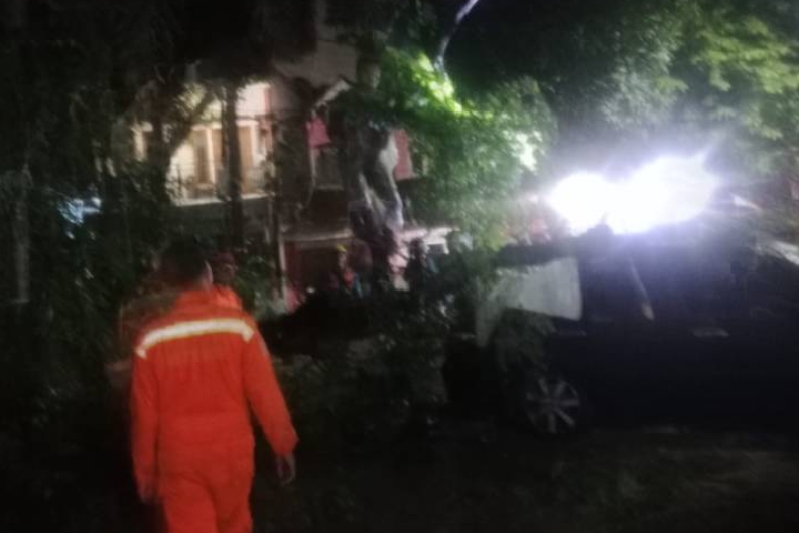 Hujan dan angin kencang sebabkan pohon tumbang di Karang Tengah, Tangerang, rusak dua mobil, tidak ada korban jiwa, Selasa (20/1/2026).