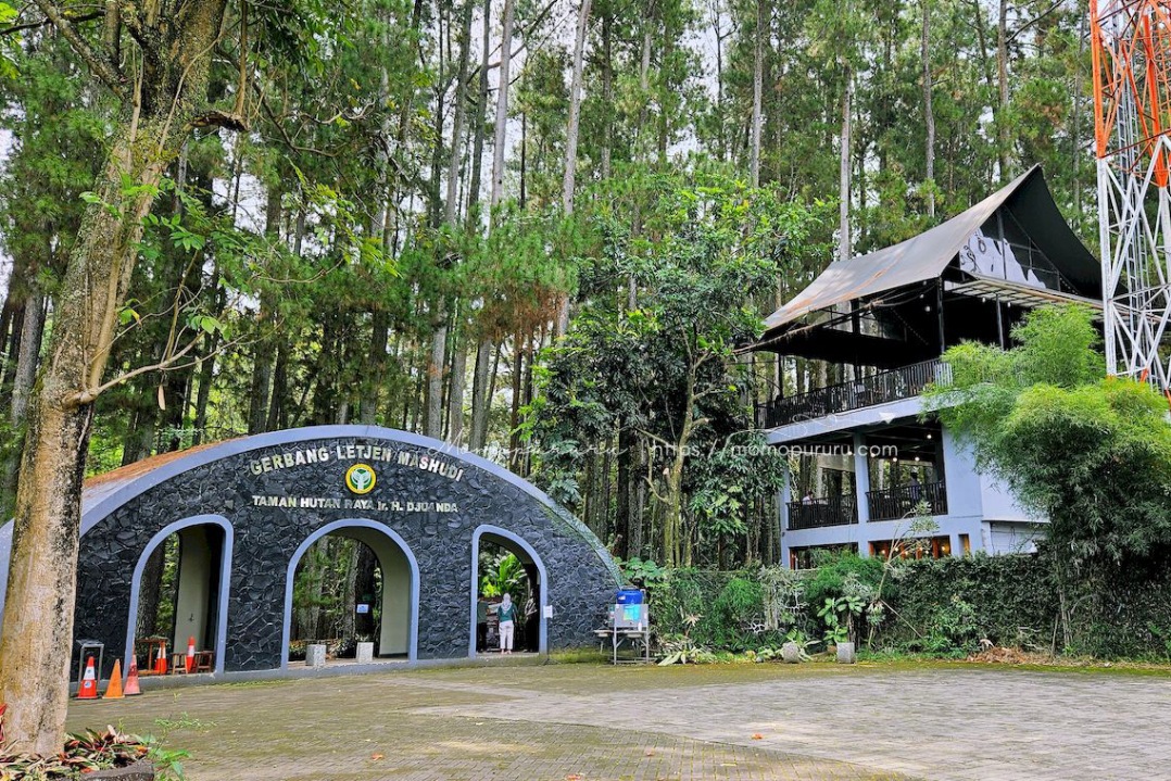 Tahura Djuanda bisa jadi alternatif wisata libur Lebaran 2026.