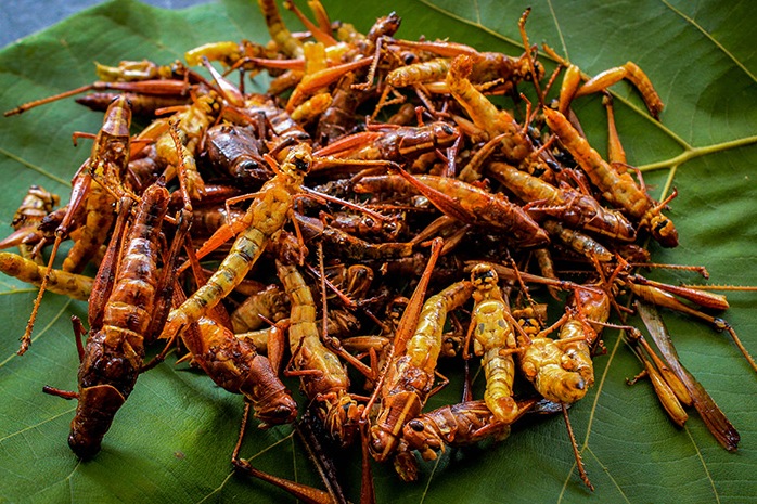 Walang goreng Gunungkidul, Yogyakarta jadi oleh-oleh khas daerah yang tetap diburu wisatawan.