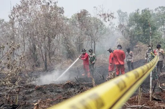 Wakil Ketua Komisi IV DPR RI, Alex Indra Lukman angkat suara soal Karhutla, desak pemerintah segera lakukan audit korporasi.