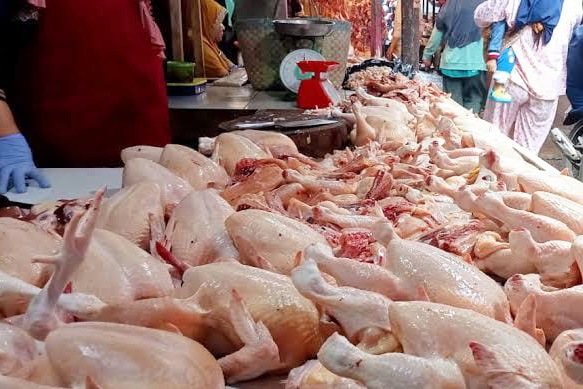 Harga ayam tembus Rp 40.000 per Kilogram, Pemkot Bandung telusuri rantai pasok.