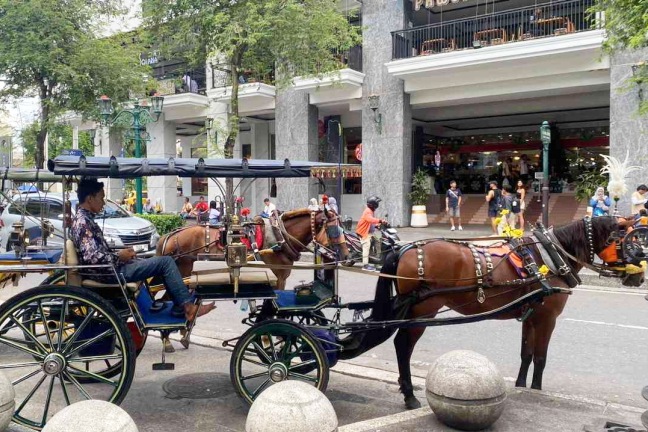 Kisah Tuwuh Hartoyo, kusir Andong Malioboro, dan Kuda di Yogyakarta.